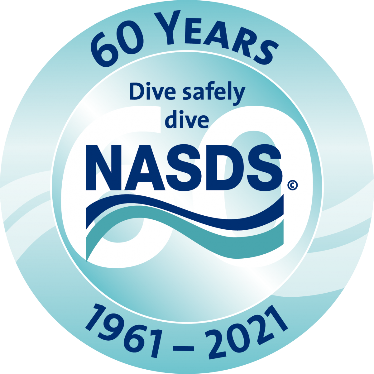 NASDS Logo