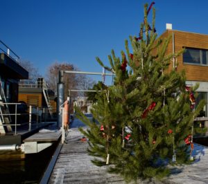 Weihnachtsbaum auf dem IBA-Steg
