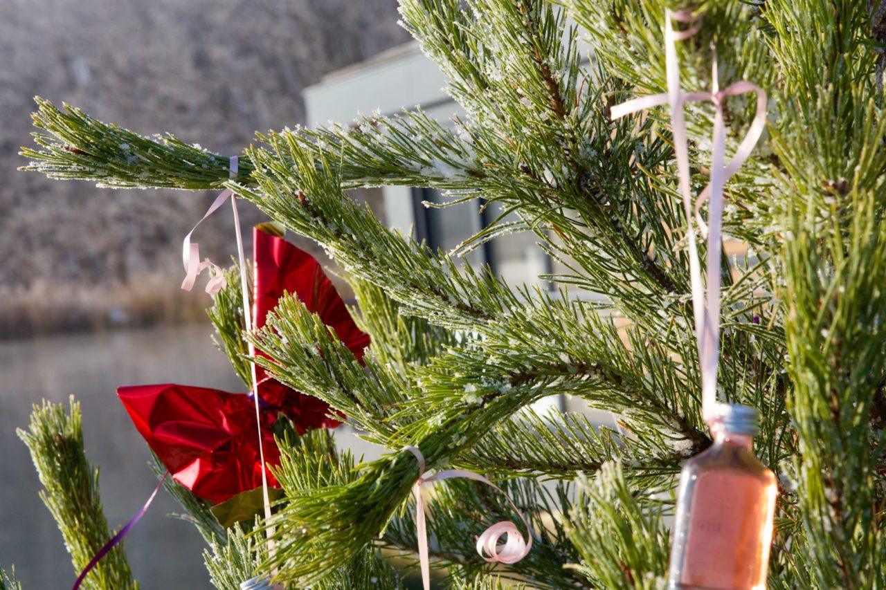 Weihnachten in Laasow