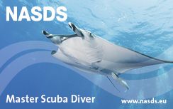 NASDS Master Diver