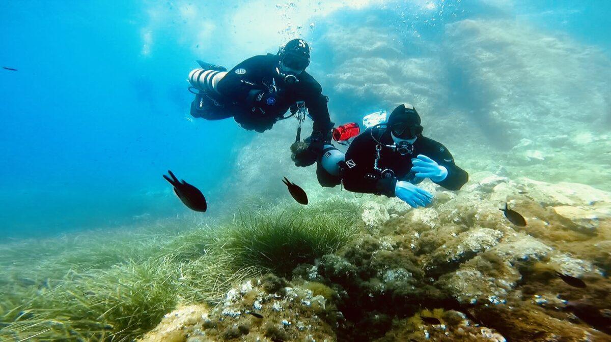 VDLT Sidemount Tauchen